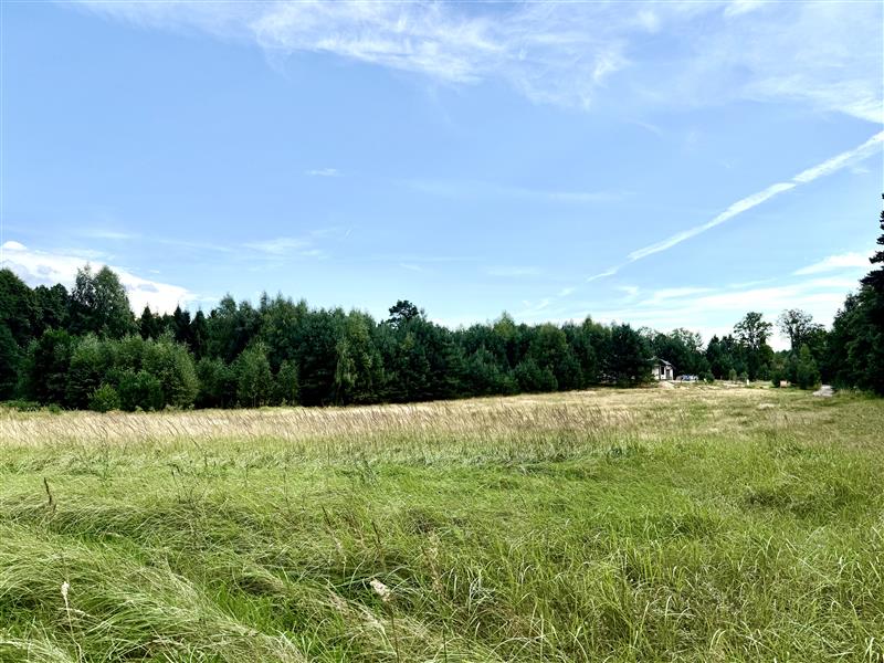 Działka - Stepień Kolonia (2)