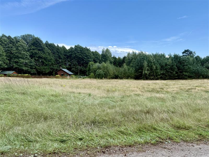 Działka - Stepień Kolonia (3)