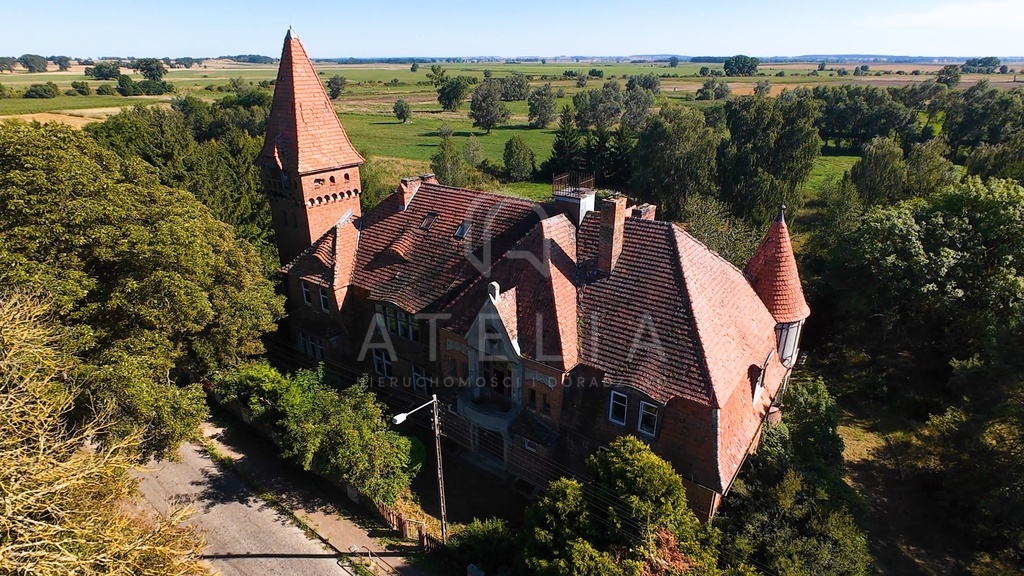 Magiczny Dwór szuka nowego Państwa (3)