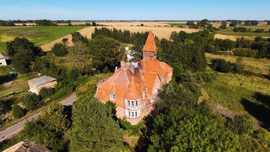 Magiczny Dwór szuka nowego Państwa (4)