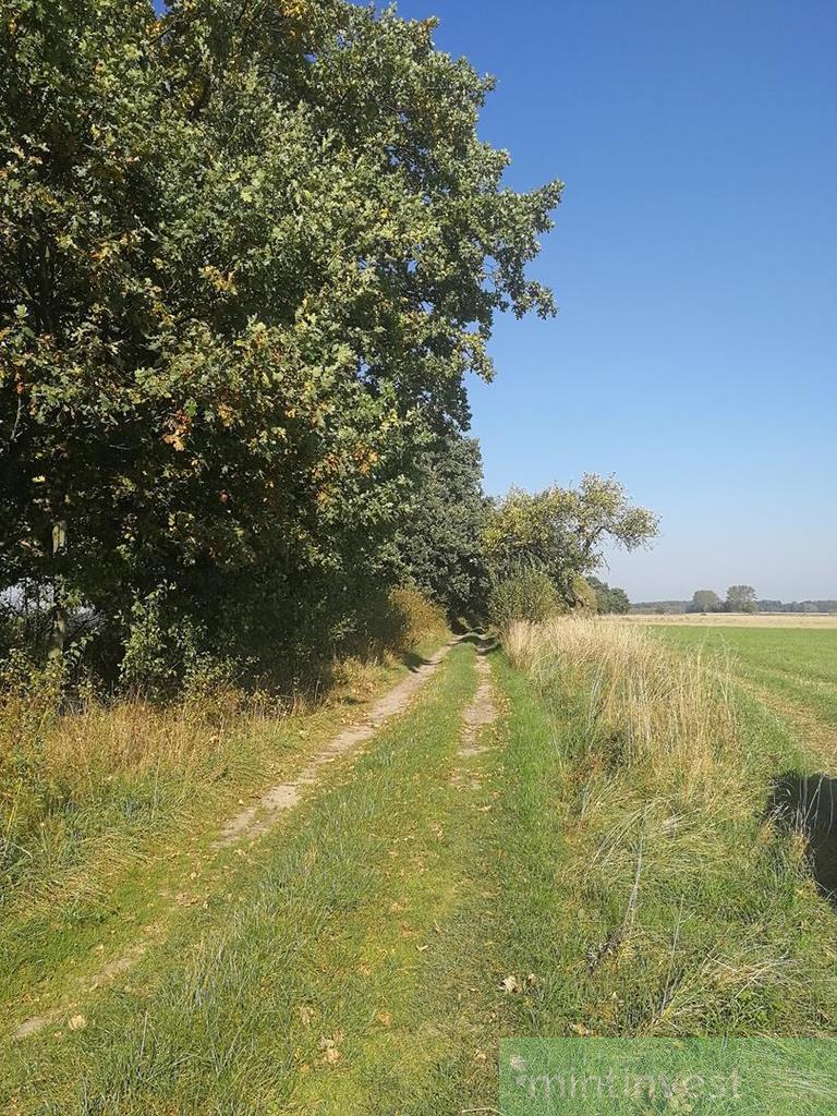Działka rolna (1)
