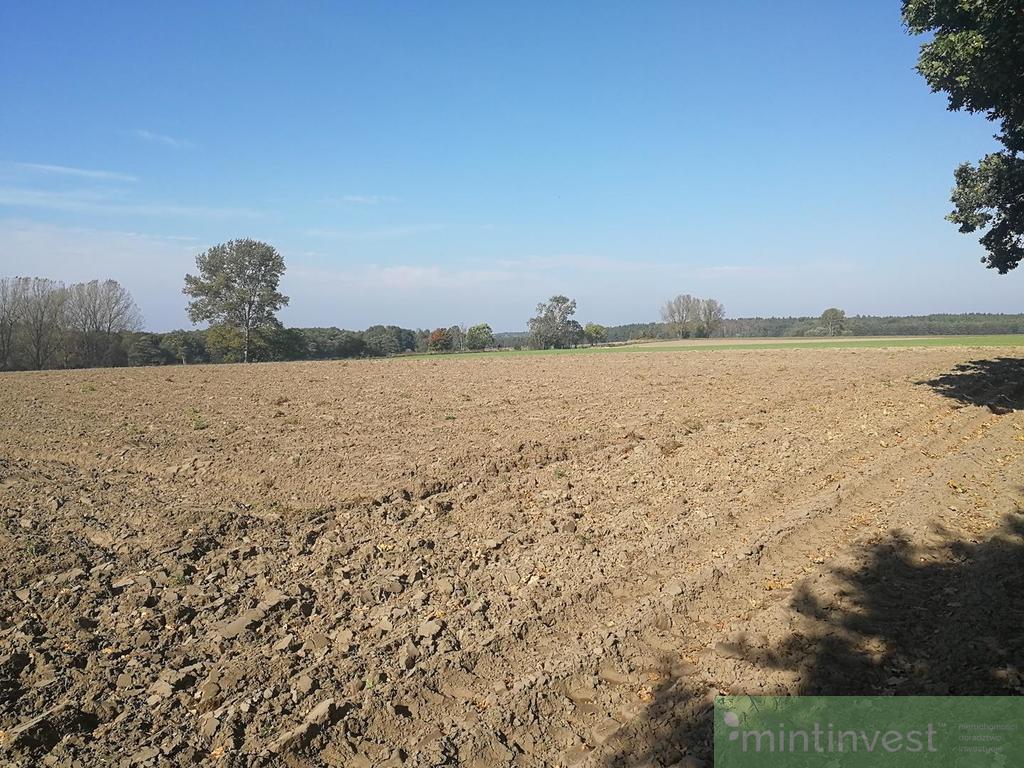 Działka rolna (2)