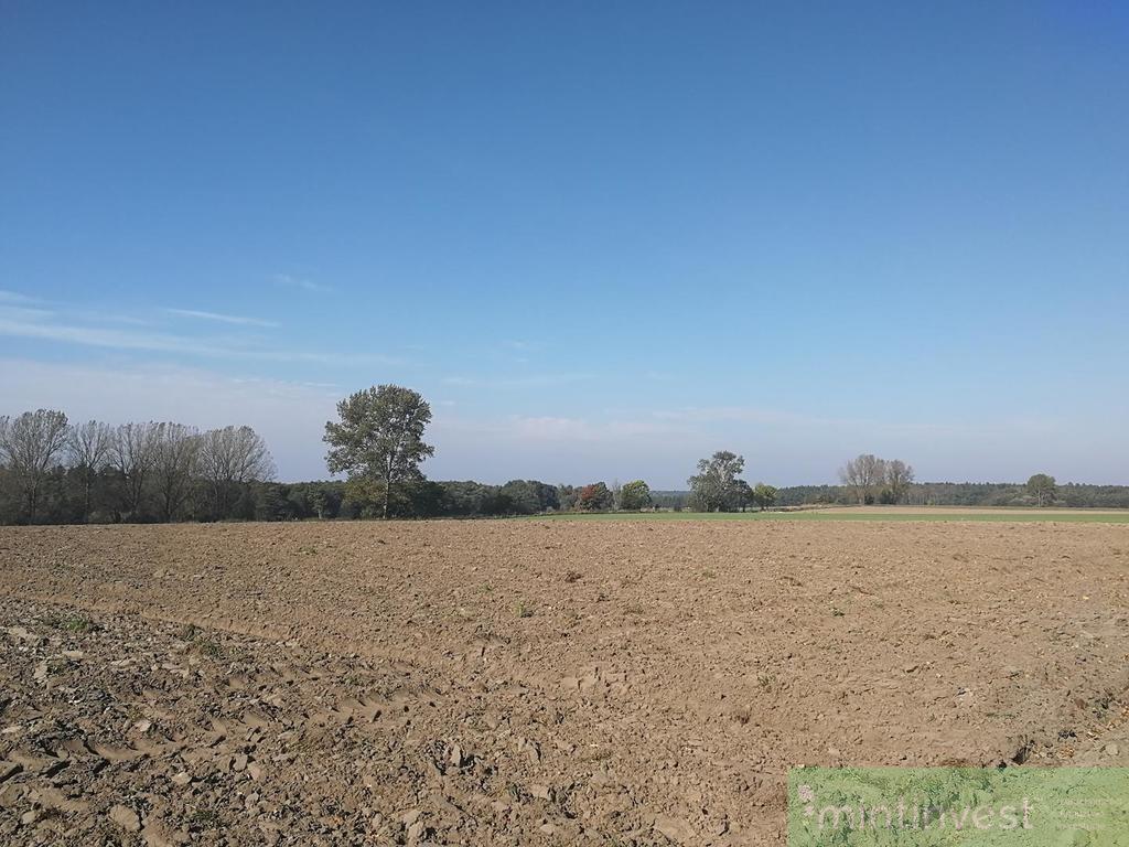 Działka rolna (3)