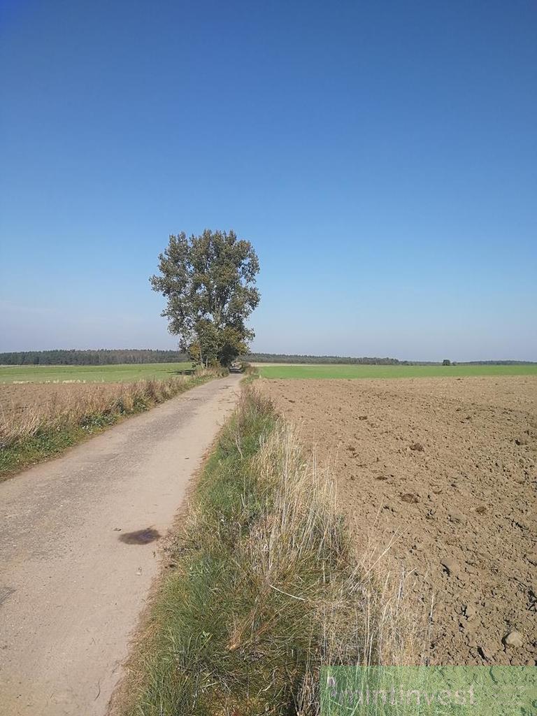 Działka rolna (5)