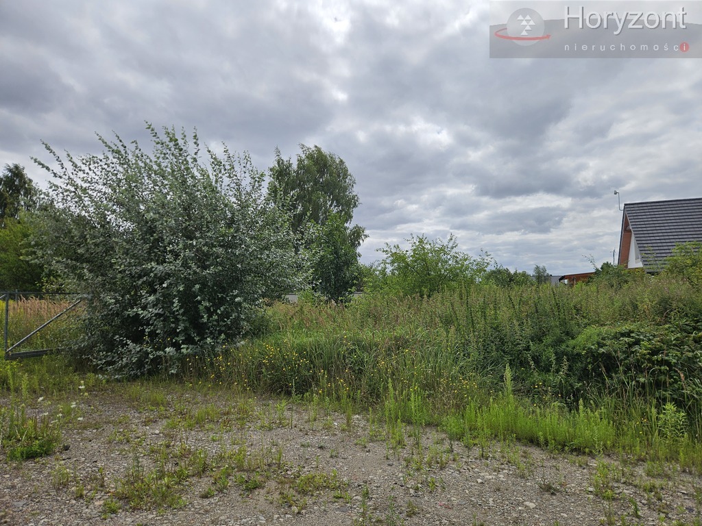 Działka 799m2 Dołuje, wydane warunki zabudowy (1)