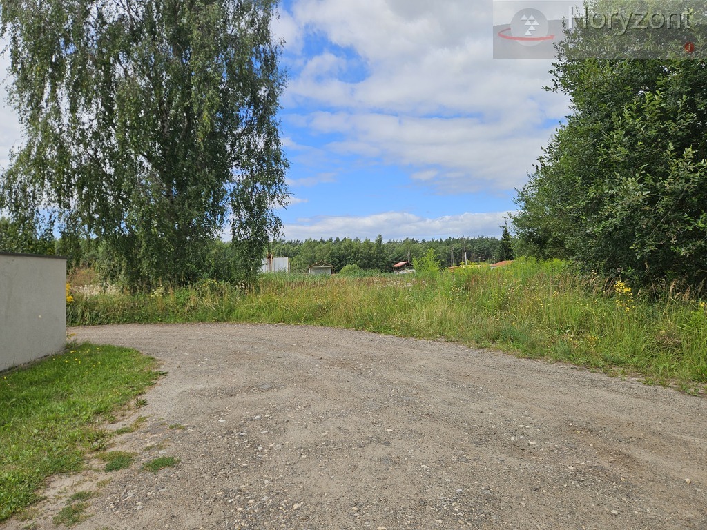 Działka 799m2 Dołuje, wydane warunki zabudowy (4)