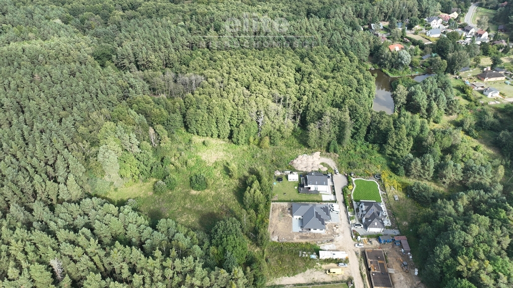 Działka 1940 m2 przy lesie - Szczecin Płonia (4)