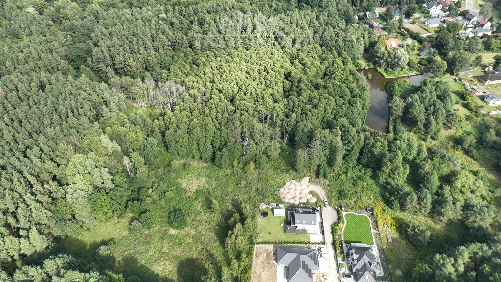 Działka 1940 m2 przy lesie - Szczecin Płonia (5)