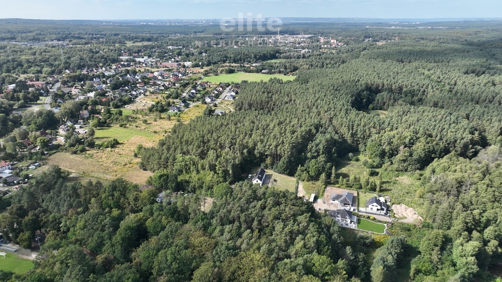 Działka 1940 m2 przy lesie - Szczecin Płonia (10)