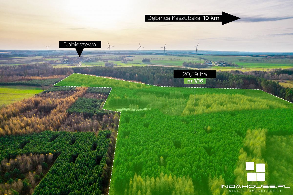 Las. Zainwestuj w swoją przyszłość. (3)