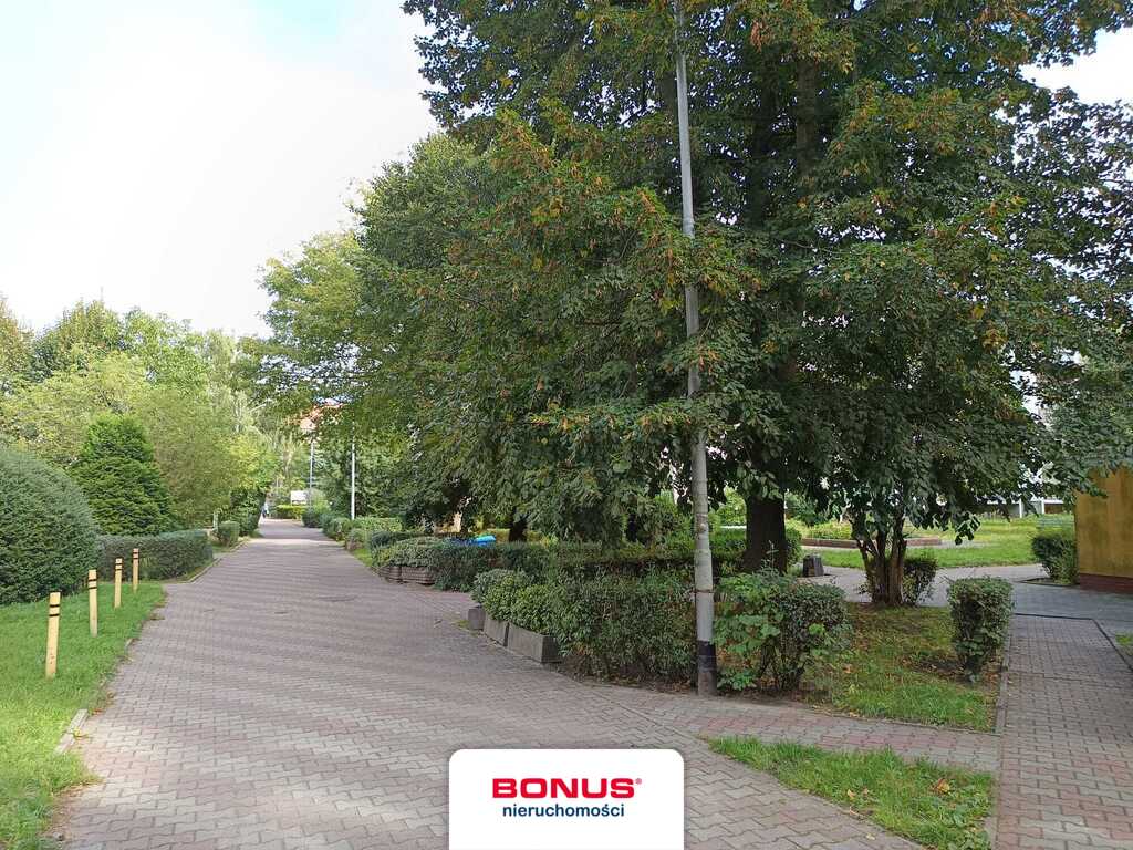3 pokoje po remoncie, cicha i zielona część Polic! (23)