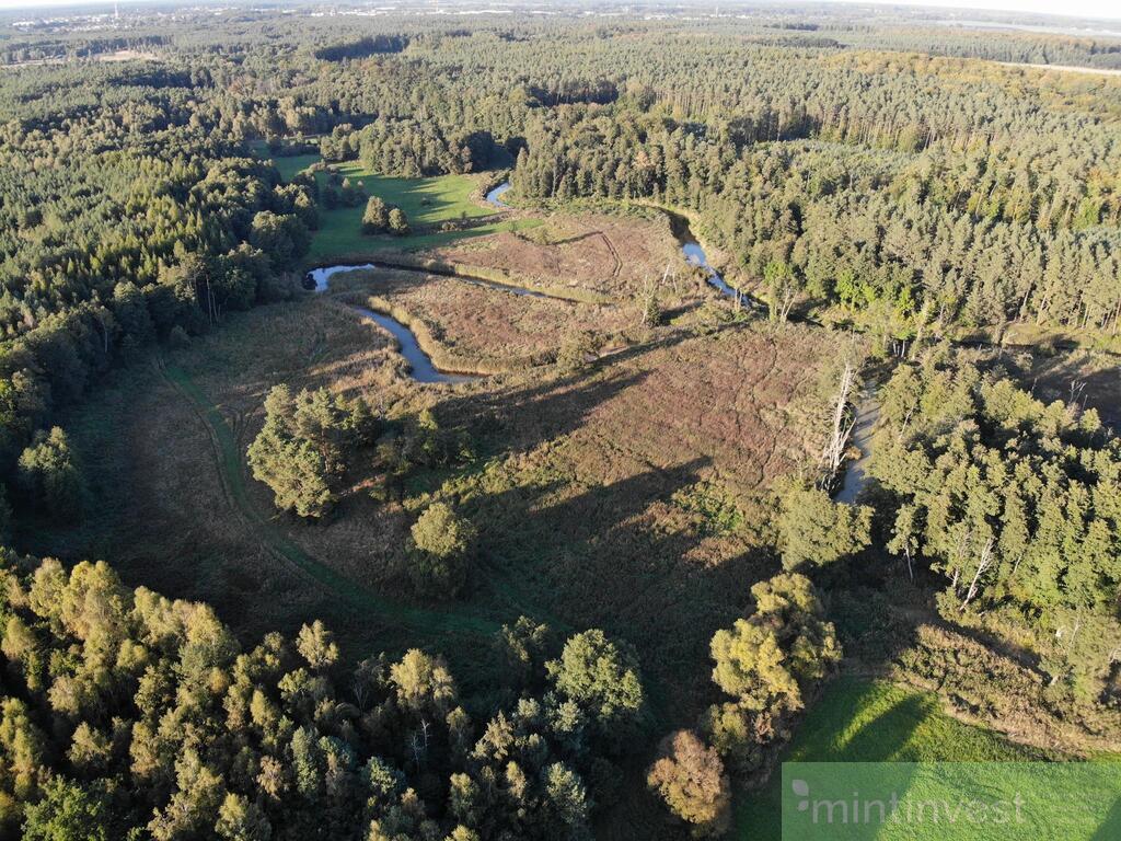 Działka (1)