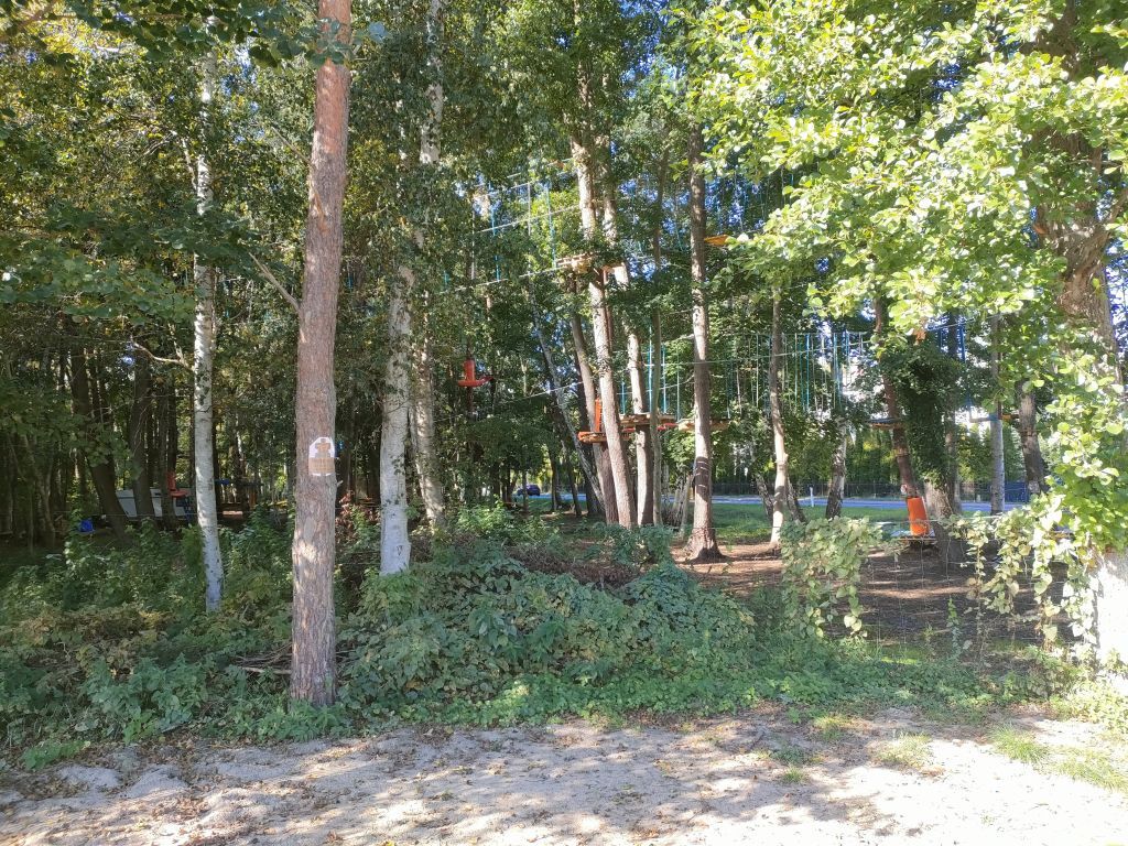 Międzywodzie działka nad morzem 620m2 z projektem. (6)