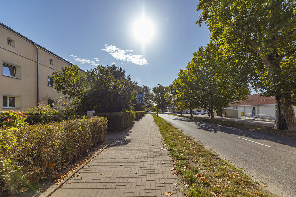 2 pokoje | Ogródek | Garaż | 2 piwnice (14)