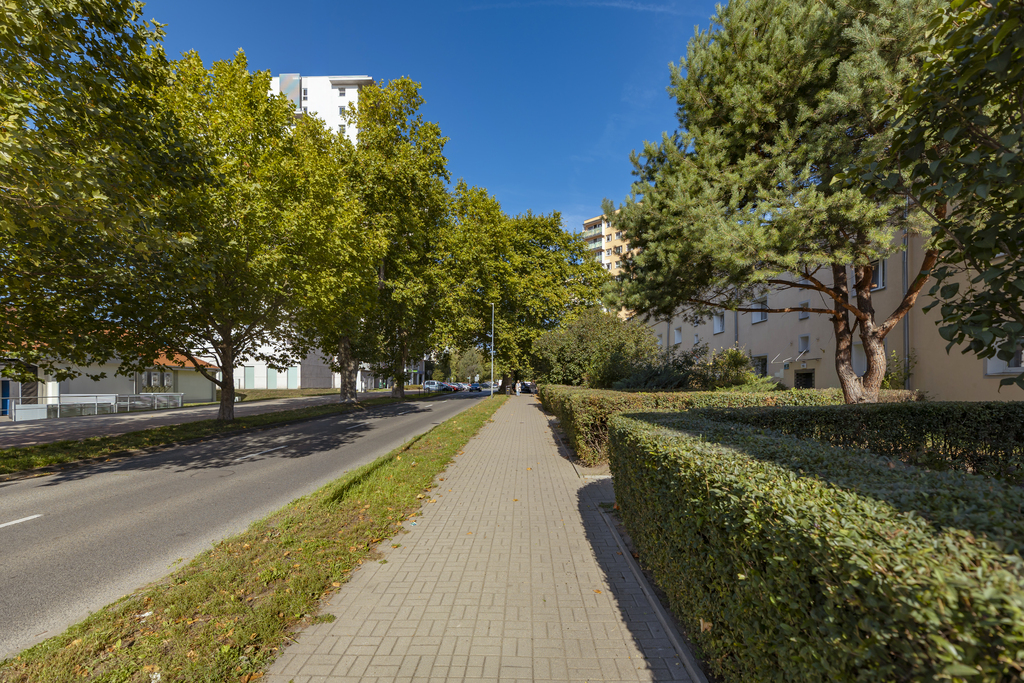2 pokoje | Ogródek | Garaż | 2 piwnice (15)
