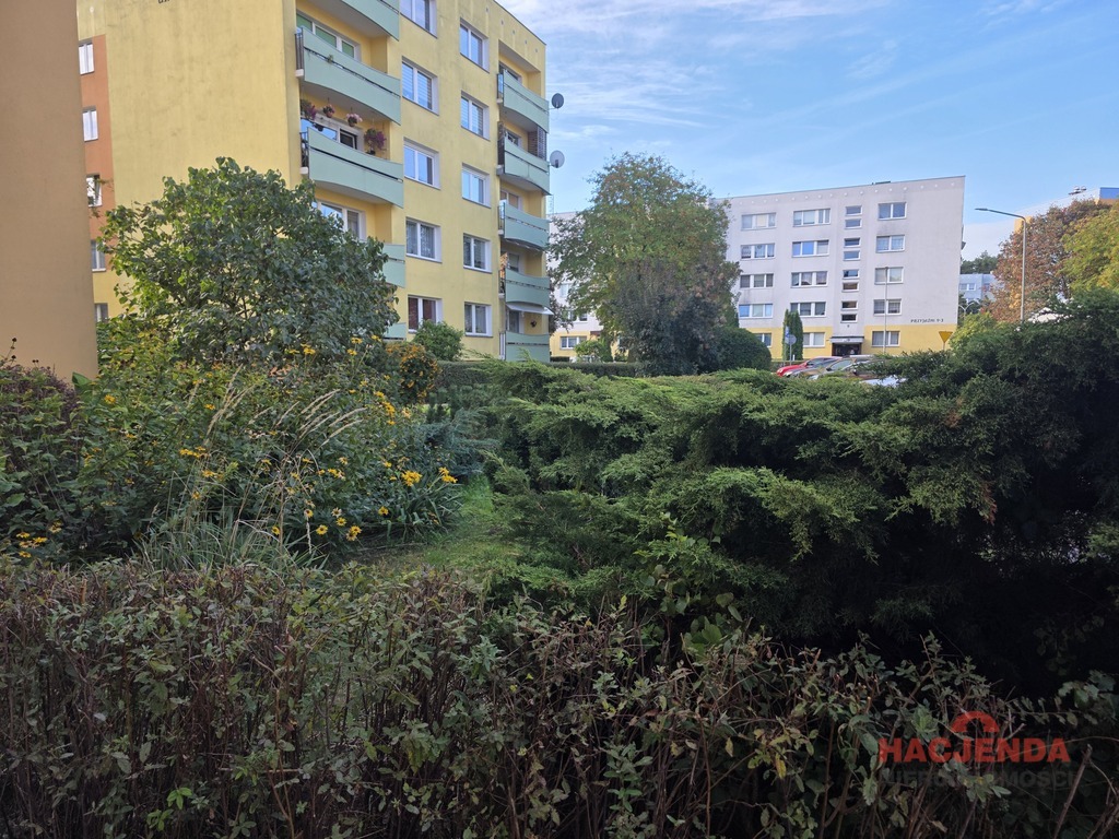 Przytulne i słoneczne 2 pokoje - 49,84 m2 (21)