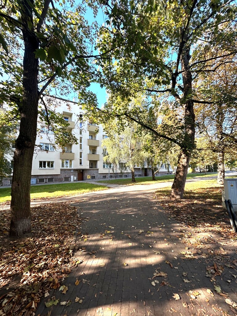Blisko Park Kasprowicza i Jasne Błonia (1)