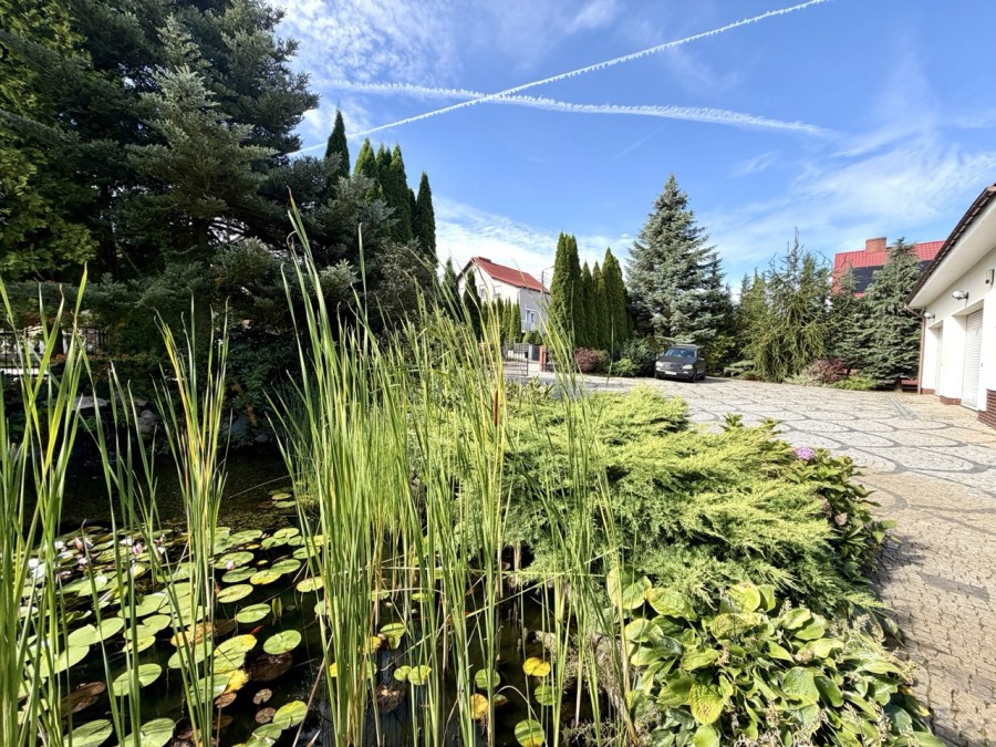 komfortowy Dom + drugi budynek pod biznes/wynajem (5)