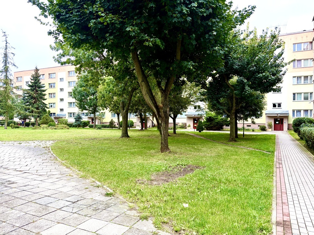 Spółdzielcze Własnościowe/2 pok. 42m2/ Ul. Szafera (11)