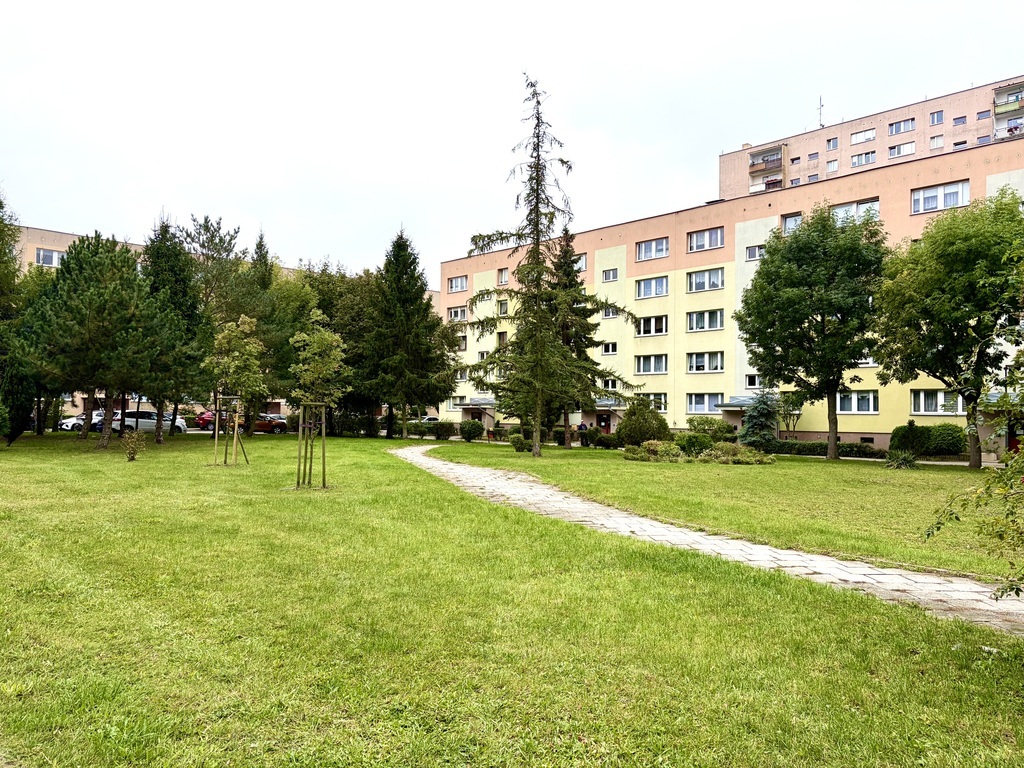 Spółdzielcze Własnościowe/2 pok. 42m2/ Ul. Szafera (12)