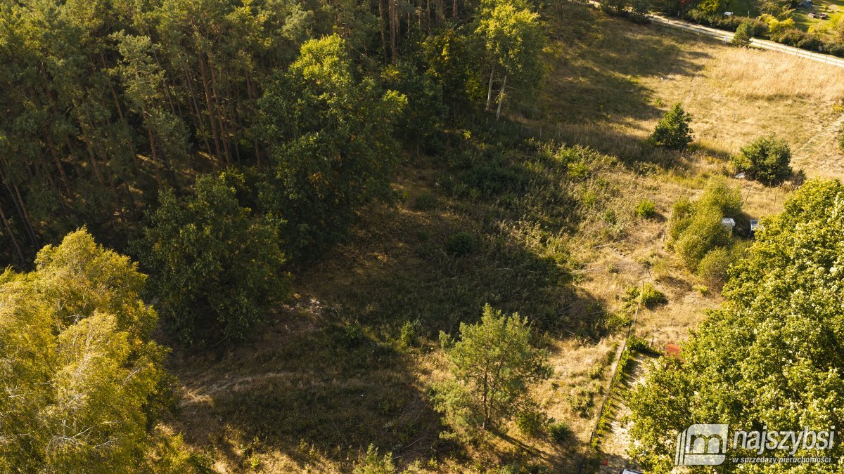 Komarowo - działka 1653 m2 przy ścianie lasu (9)