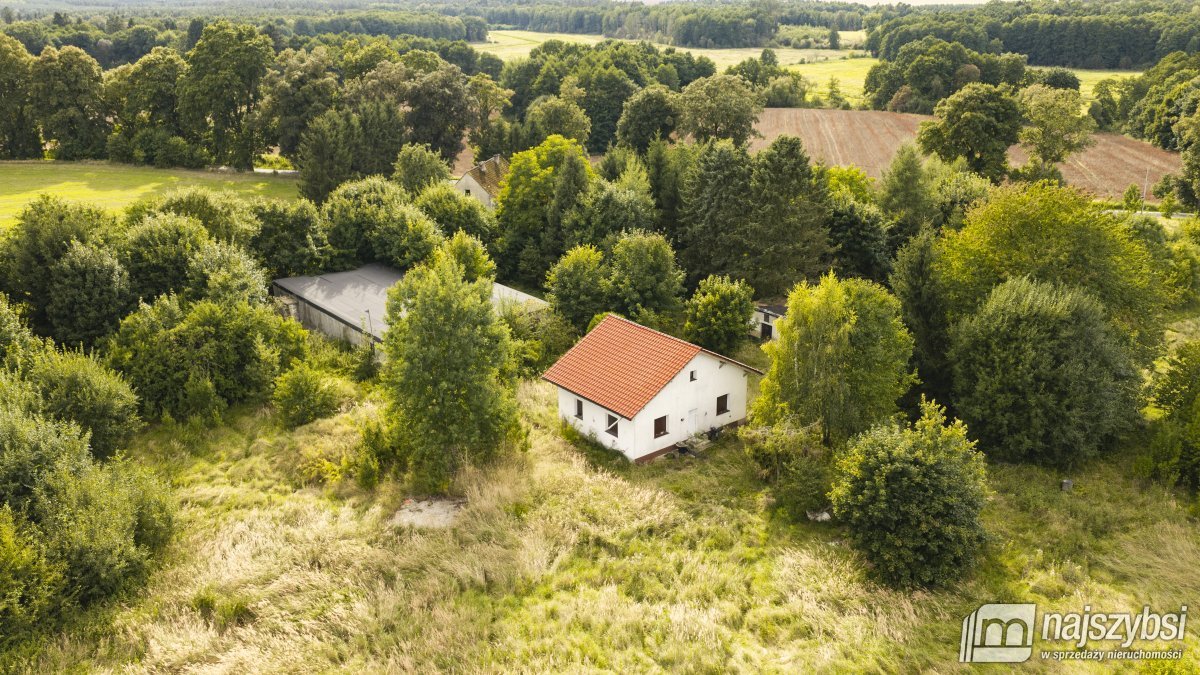 Działka 1,45 ha z potencjałem - Sława, gm. Świdwin (13)