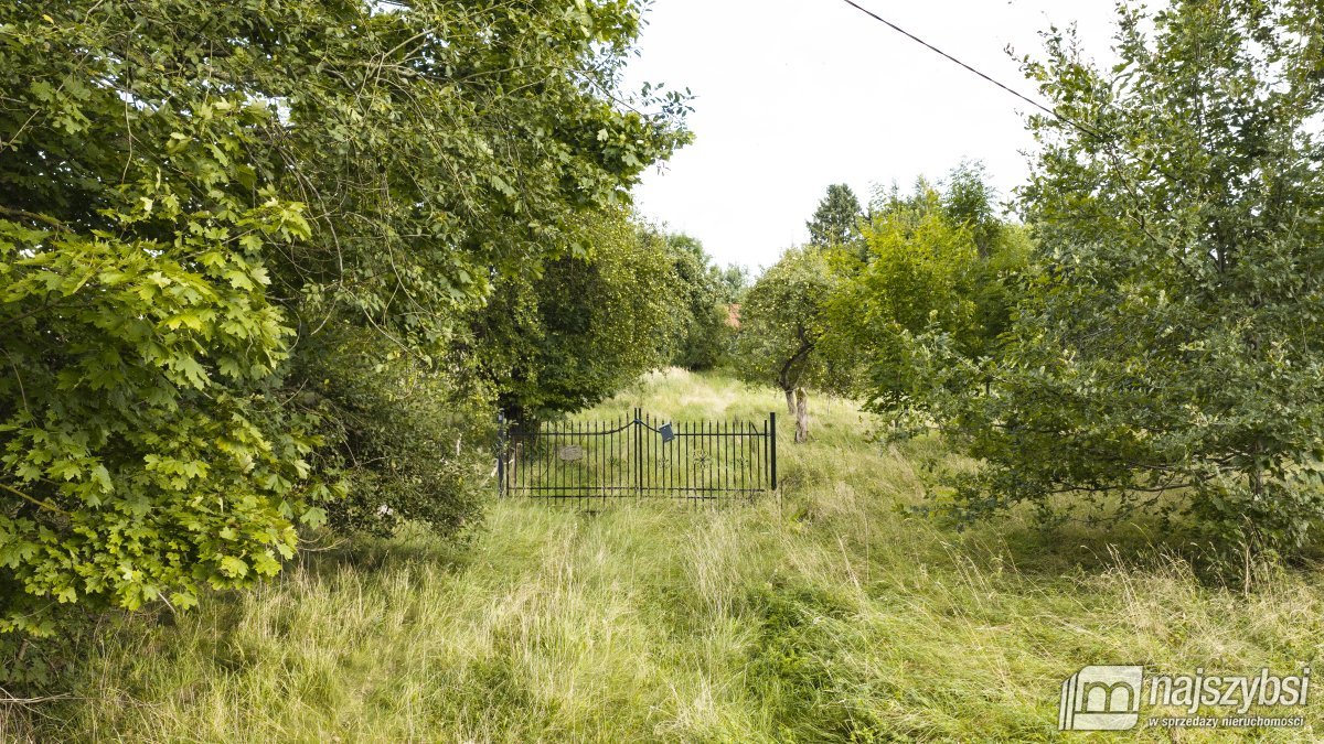 Działka 1,45 ha z potencjałem - Sława, gm. Świdwin (2)