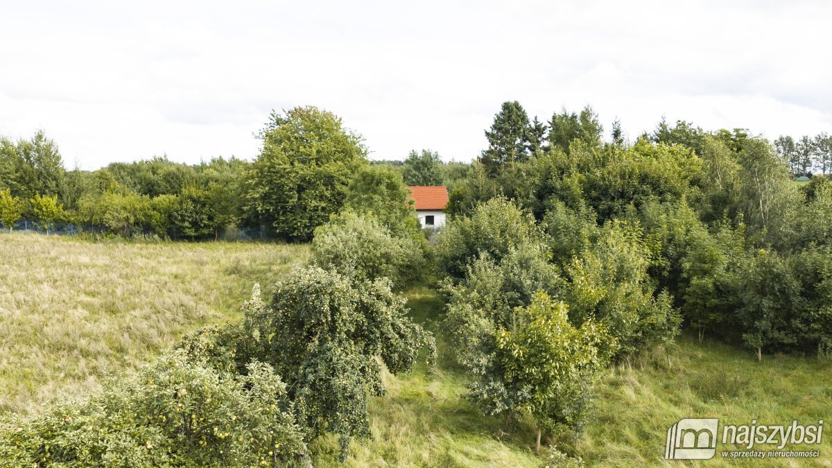 Działka 1,45 ha z potencjałem - Sława, gm. Świdwin (3)