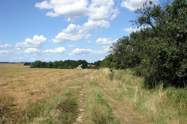 Barnisław, działka rolna o powierzchni 1,24 ha (1)