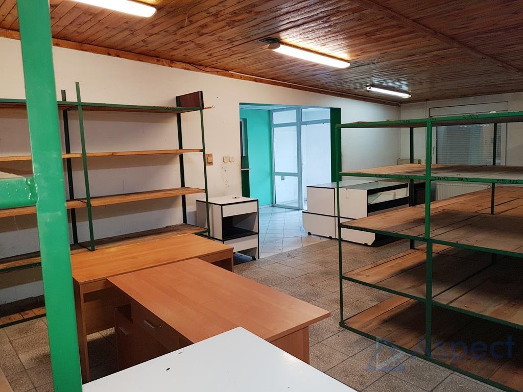Wynajem, lokal handlowo-magazynowy, Płonia (14)
