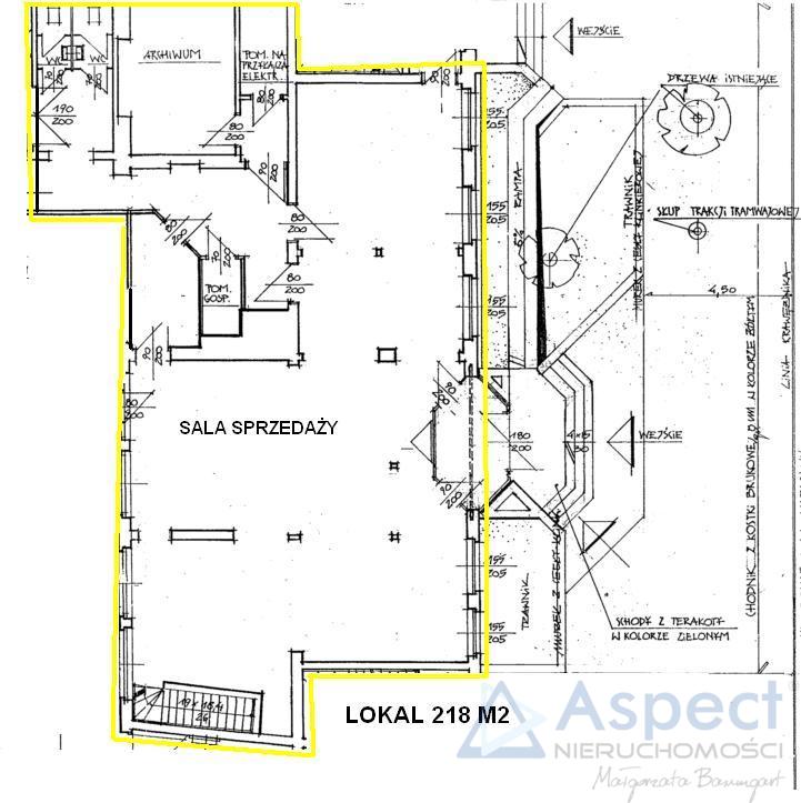 Lokal 240 m2 w centrum Szczecina (8)