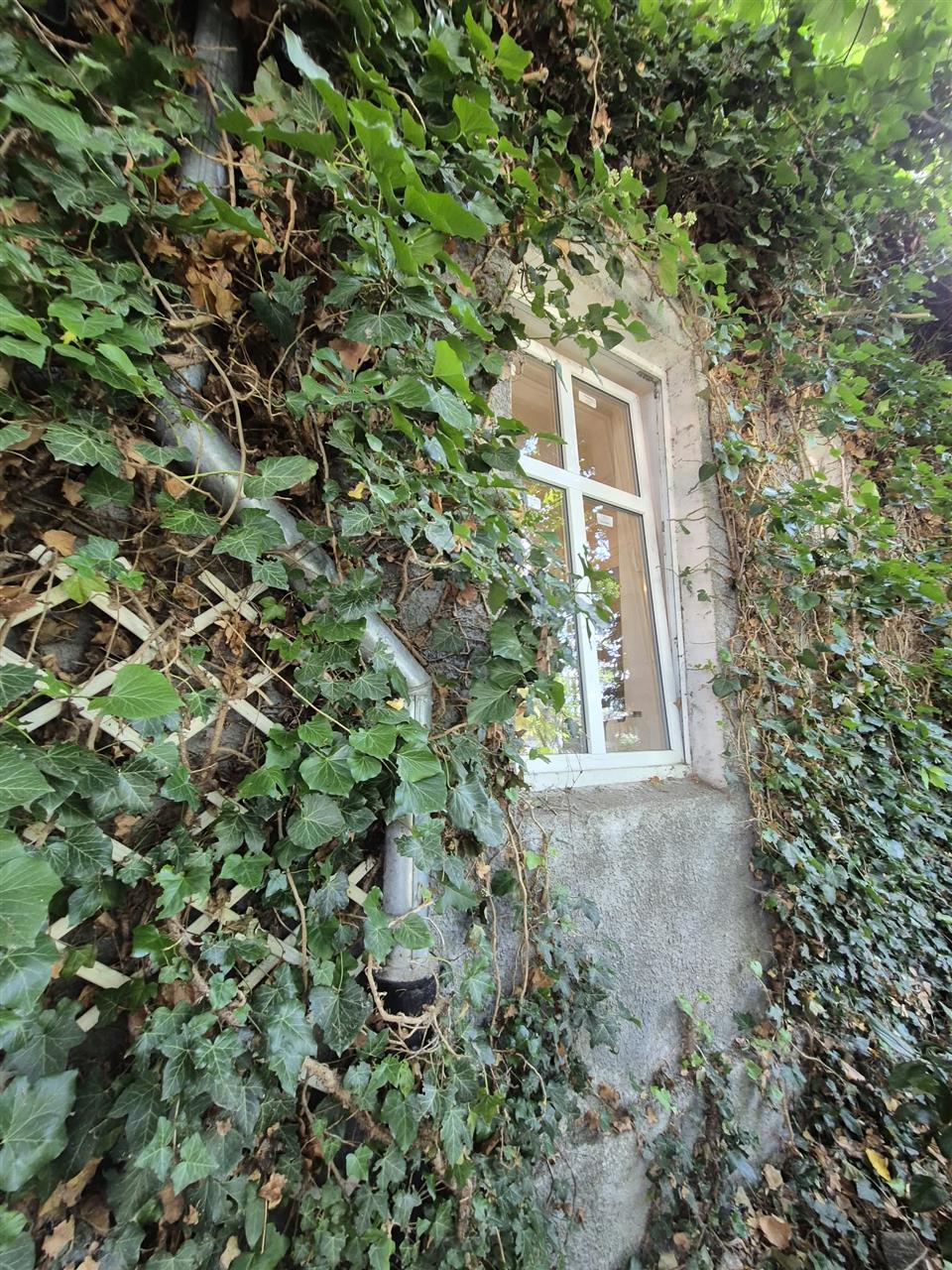 Bezczynszowe w centrum z lokalem na parterze i ogr (11)