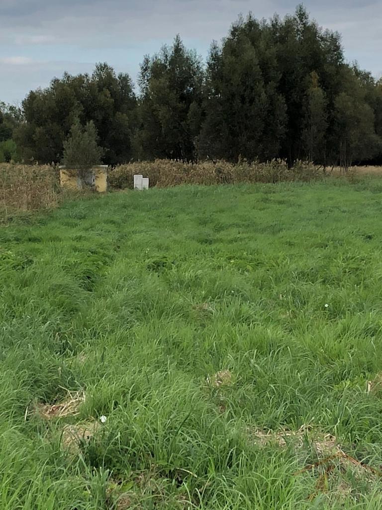 Cisza, spokój i zieleń-działka na skraju Dobrej (16)