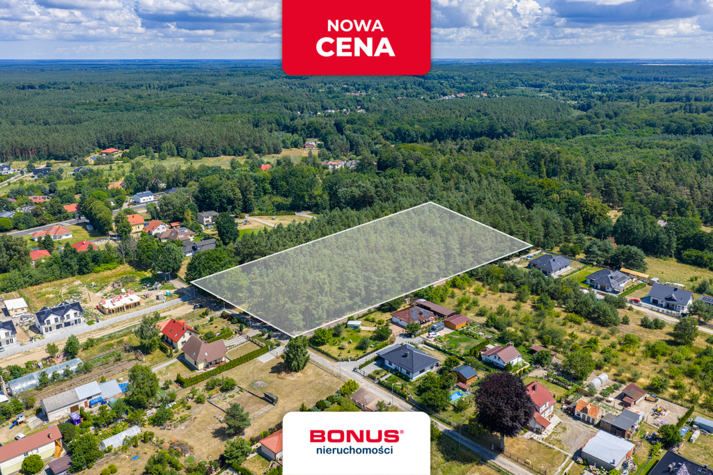 Działka leśna w Szczecinie (1)