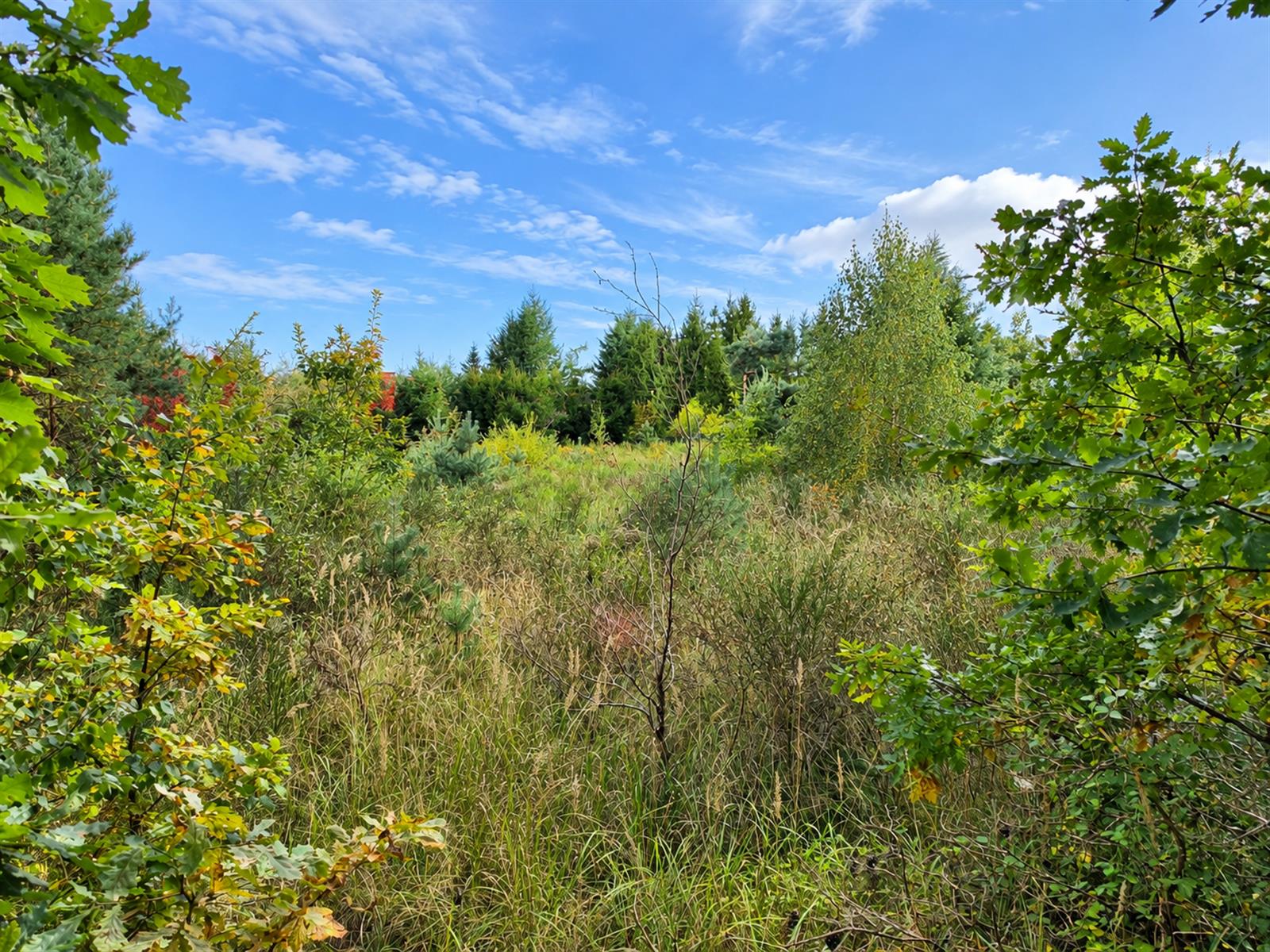 Działka budowlana - Złocieniec  (10)