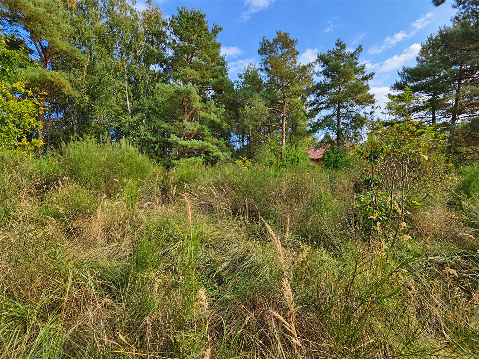 Działka budowlana - Złocieniec  (11)