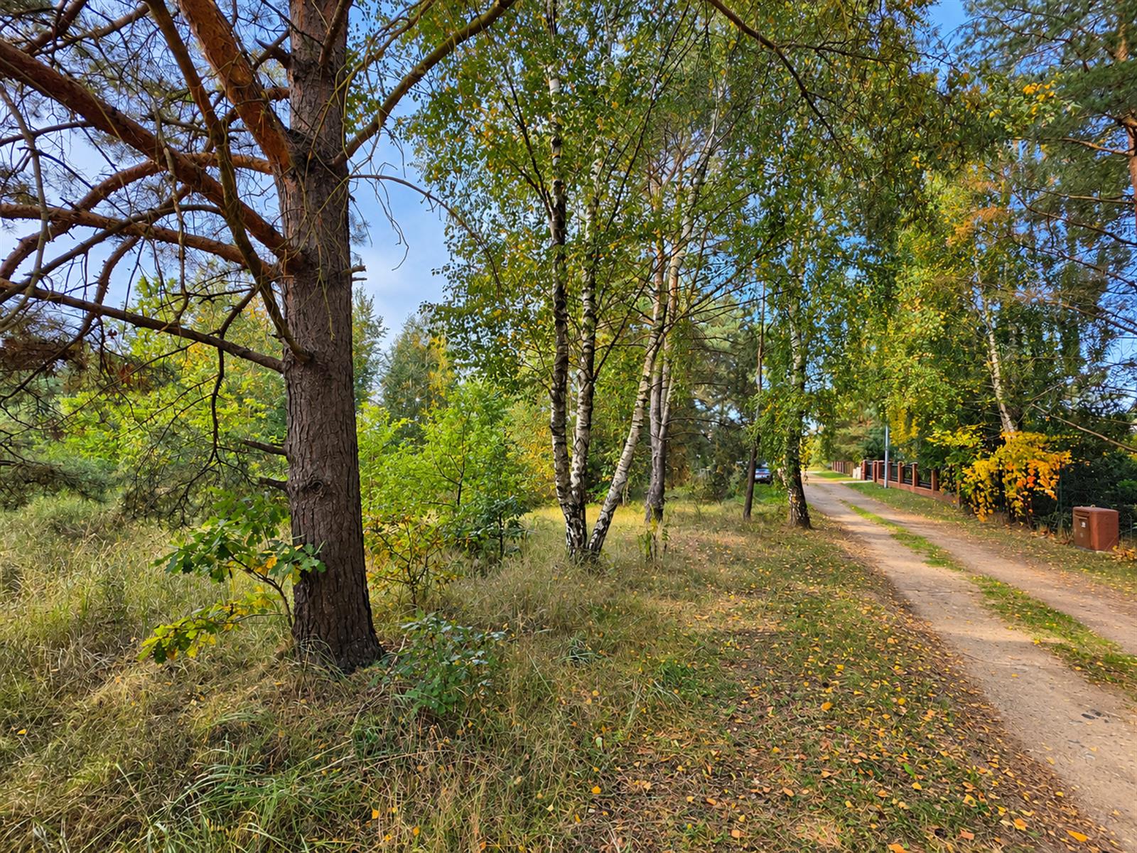 Działka budowlana - Złocieniec  (13)