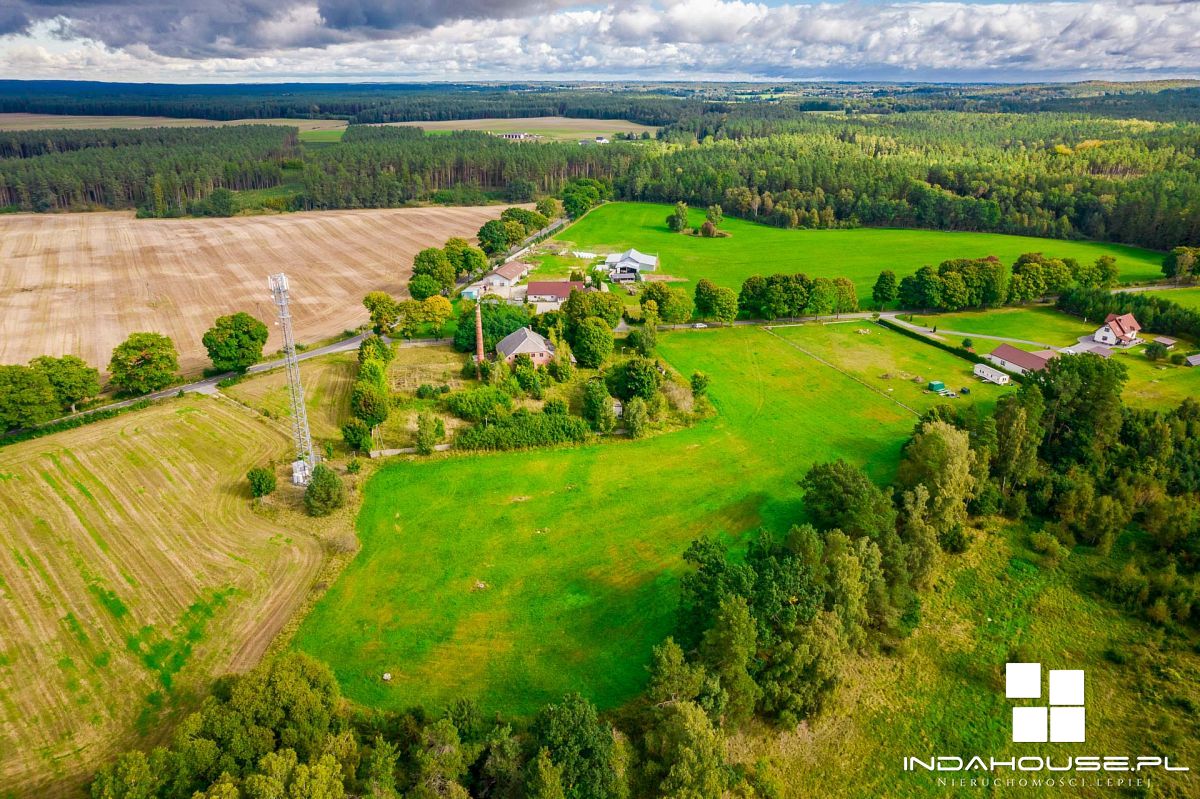 Działka Jezioro Jasień liczne lasy (10)