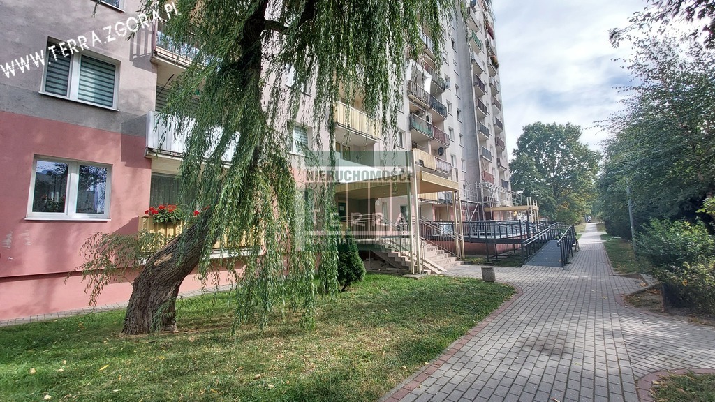 Mieszkanie, 3 pok., 59 m2, Zielona Góra  (15)