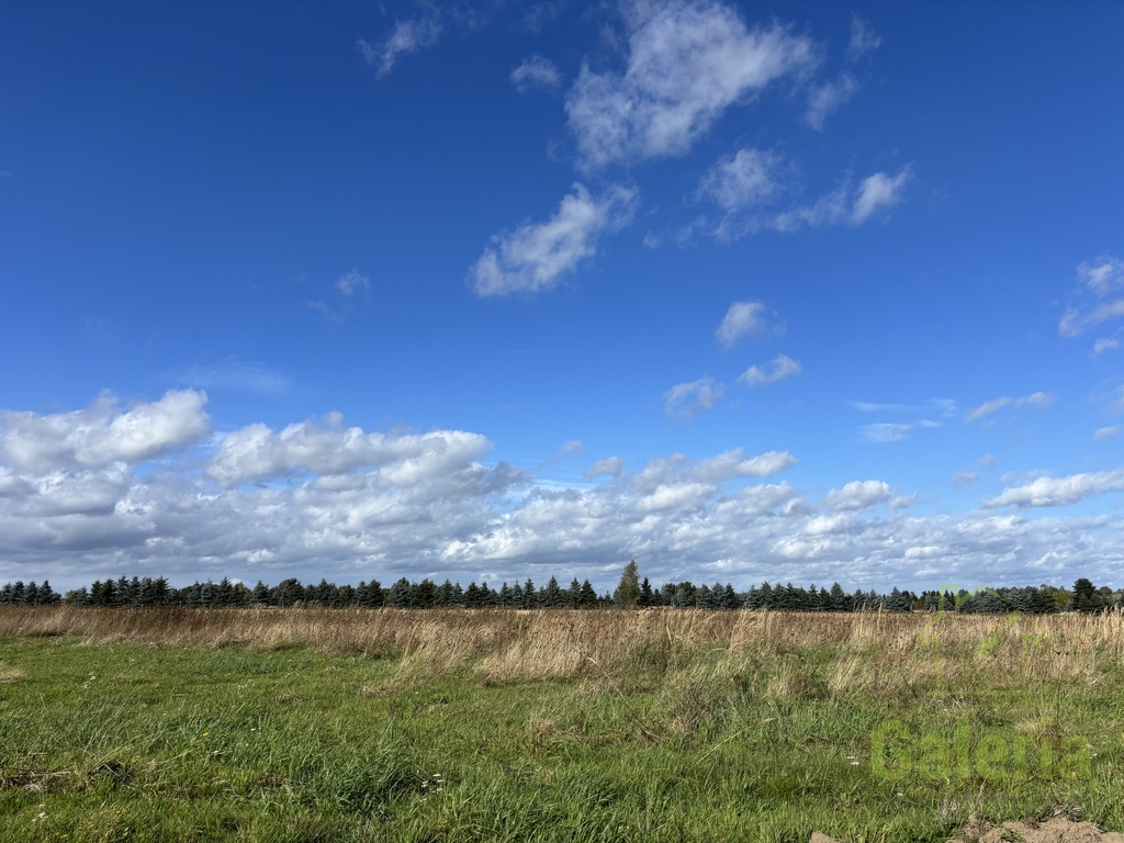 Działki w Sieciechowie, gm. Nowogard. 954 m2. (1)