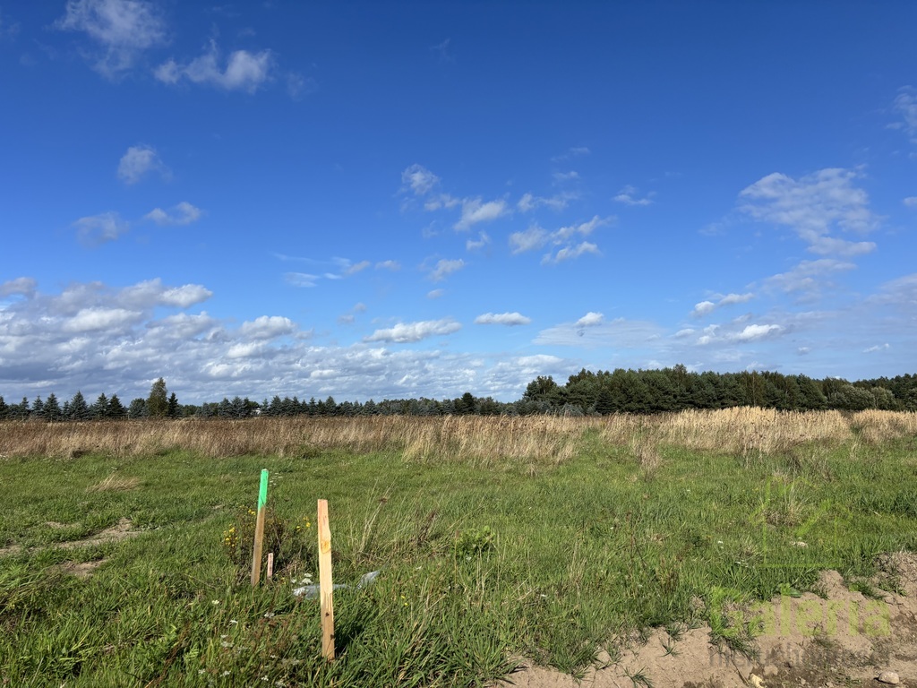 Działki w Sieciechowie, gm. Nowogard. 954 m2. (3)