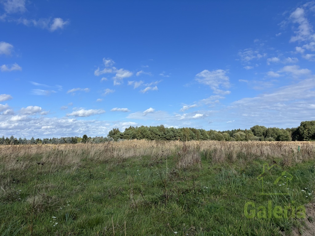 Działki w Sieciechowie, gm. Nowogard. 954 m2. (4)