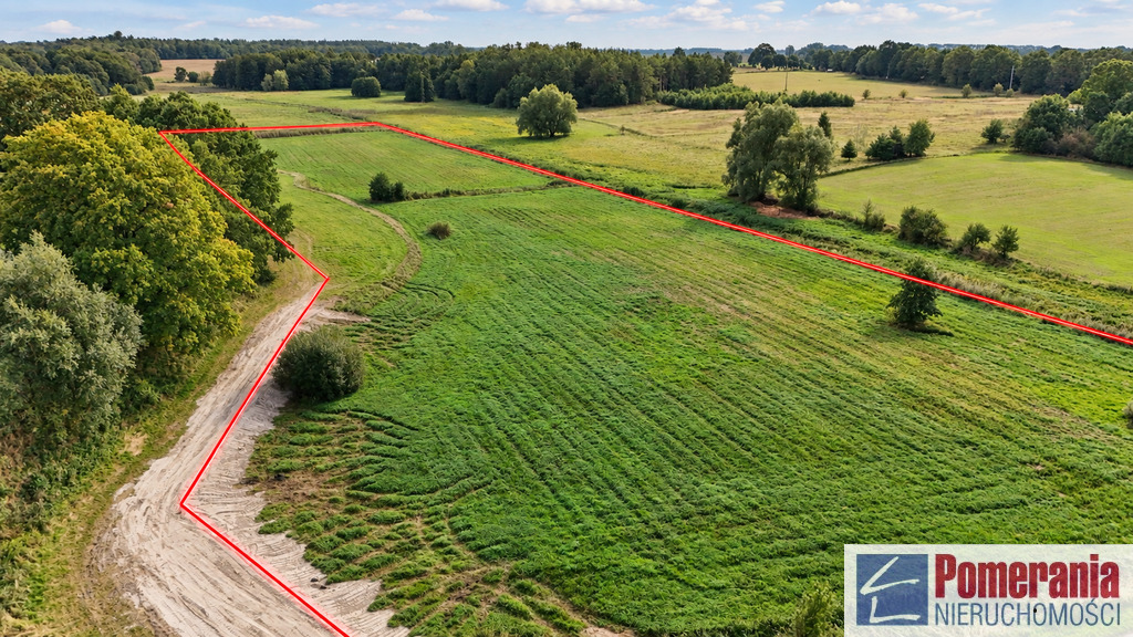 Działka Radzanek, gm. Maszewo, wydane WZ !!! 3,3ha (1)