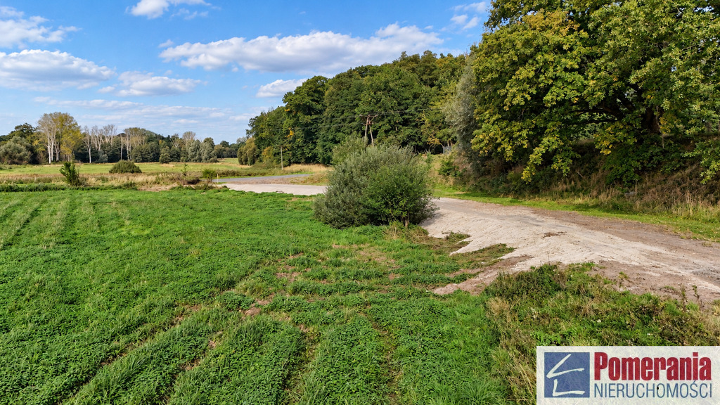 Działka Radzanek, gm. Maszewo, wydane WZ !!! 3,3ha (5)