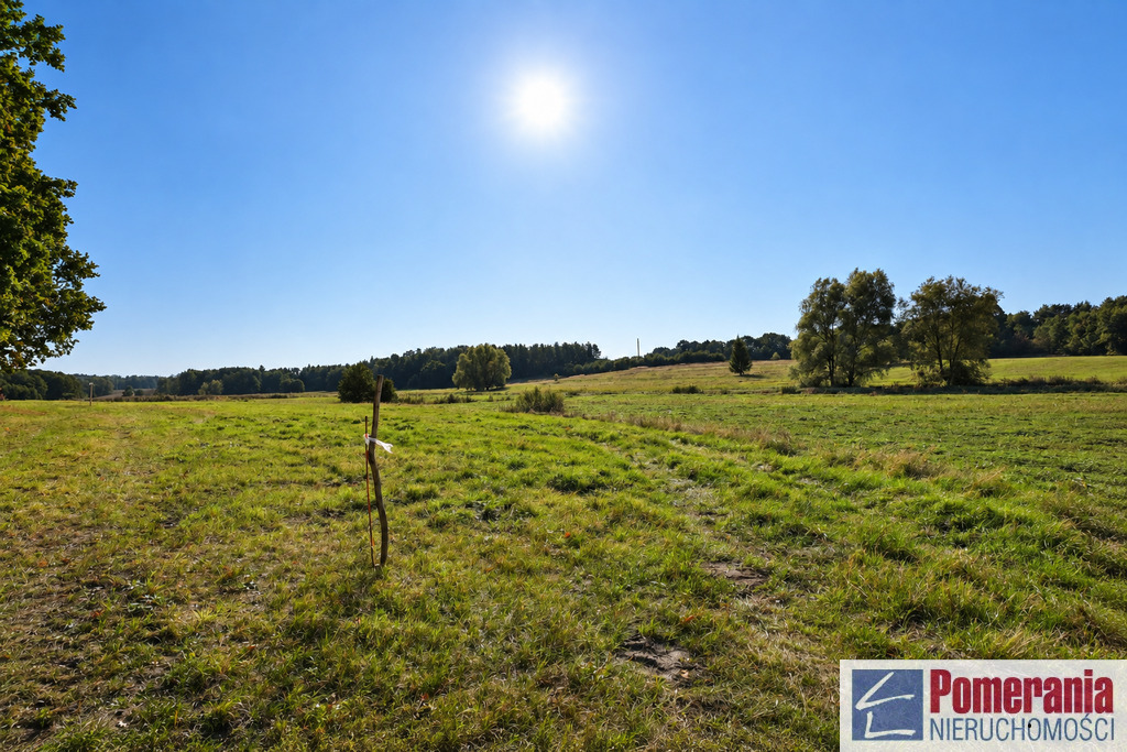 Działka Radzanek, gm. Maszewo, wydane WZ !!! 3,3ha (7)