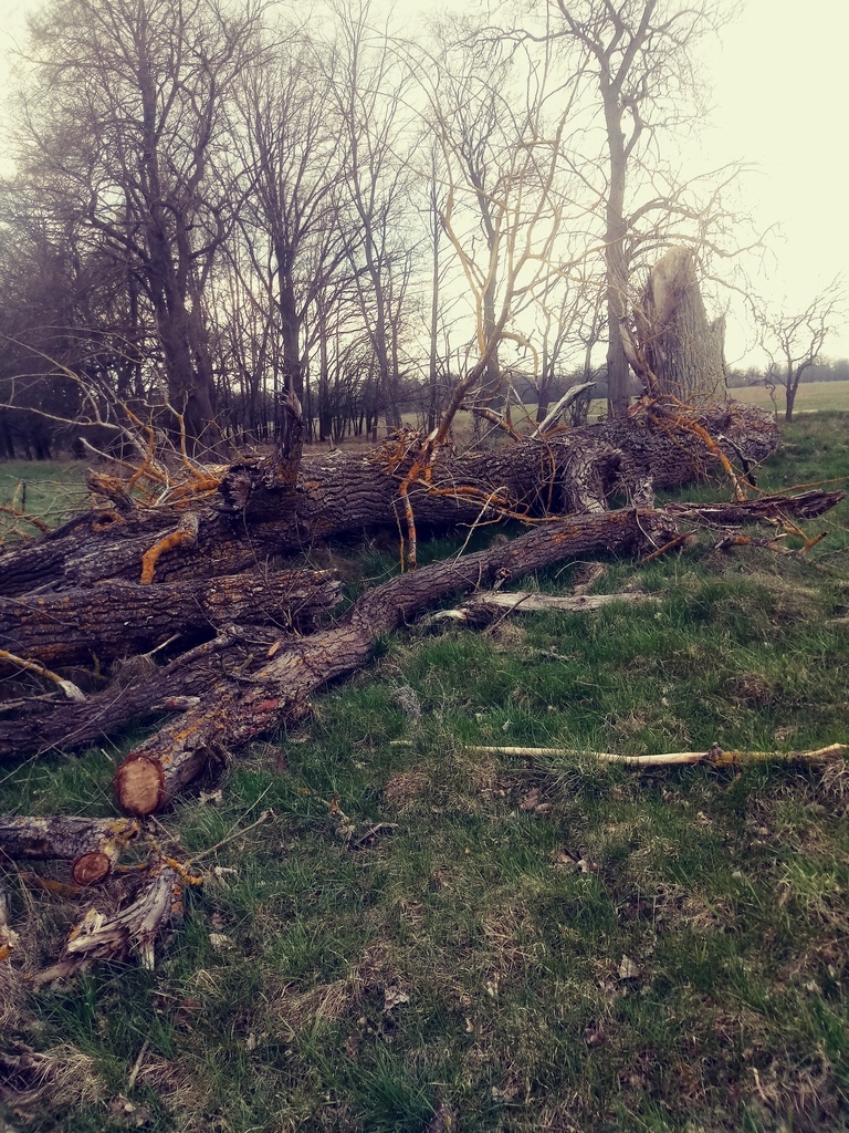 Działka o pow.3219 m2,Łęgi,gm. Dobra,Na Świdwie. (5)