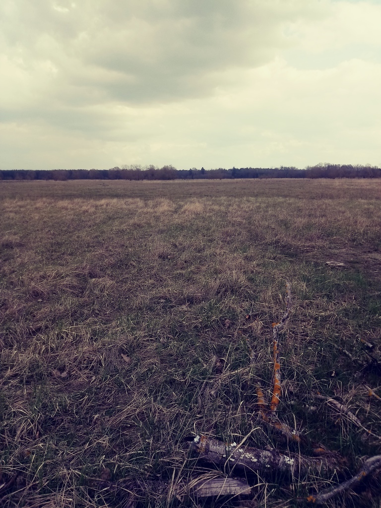 Działka o pow.3219 m2,Łęgi,gm. Dobra,Na Świdwie. (2)