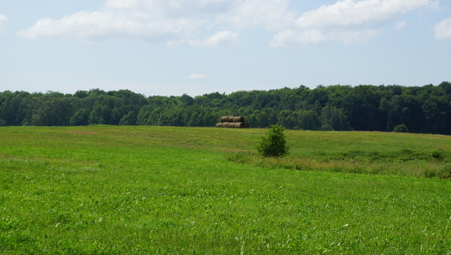 Rolna, 10,770 m2, Bobolice  (3)