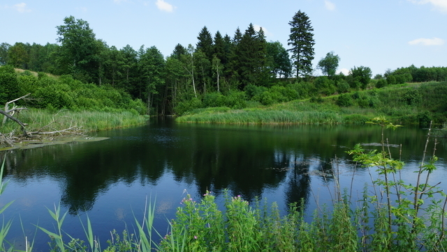 Rolna, 10,770 m2, Bobolice  (4)
