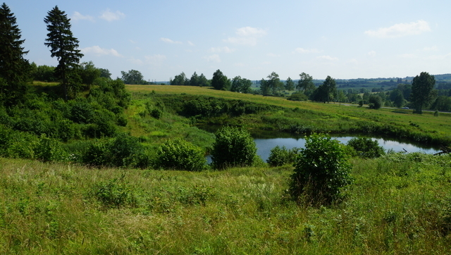 Rolna, 180,224 m2, Bobolice  (12)